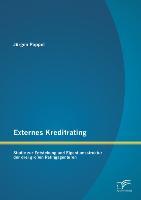 Externes Kreditrating: Studie zur Entstehung und Eigentumsstruktur der drei großen Ratingagenturen