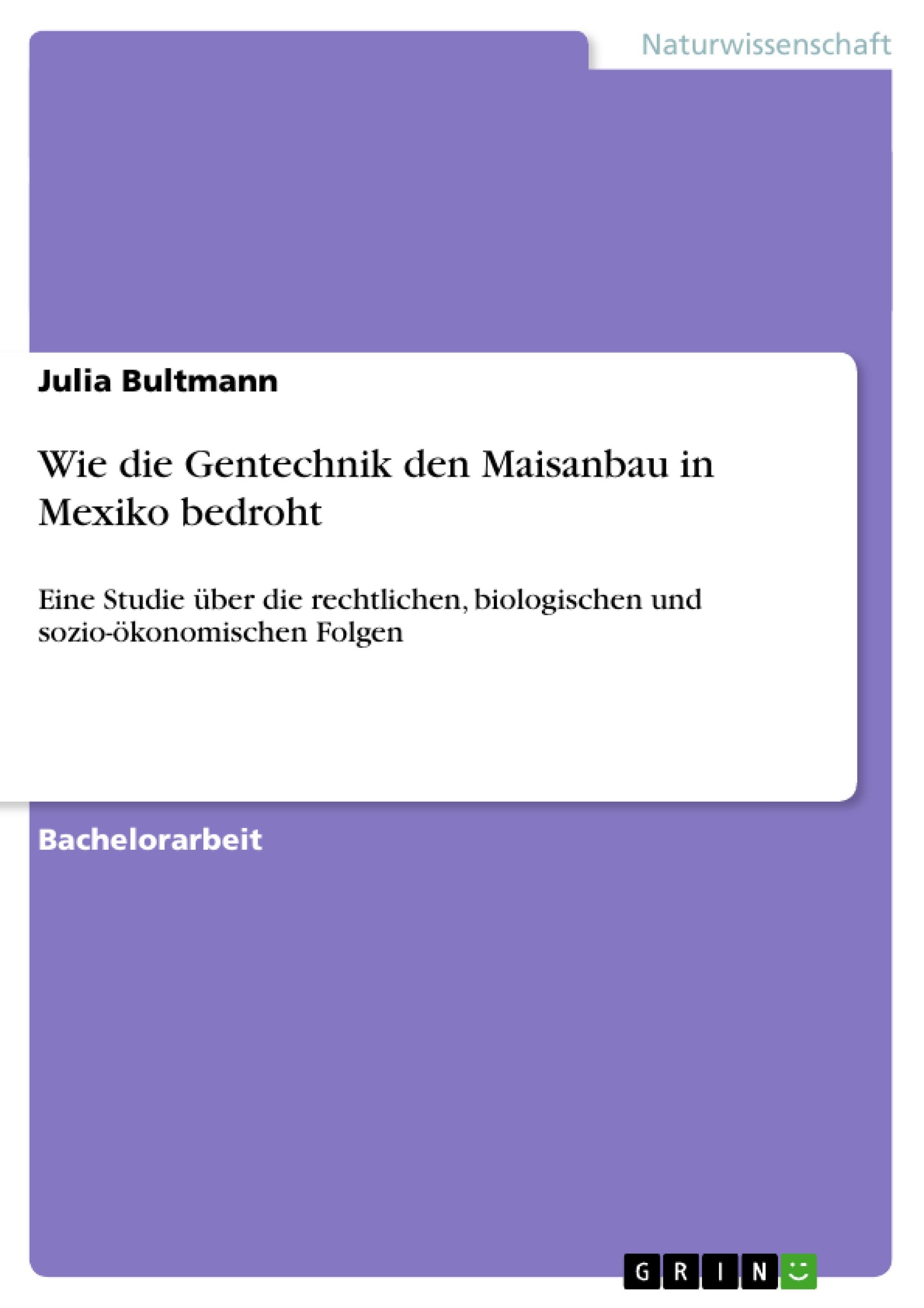 Wie die Gentechnik den Maisanbau in Mexiko bedroht