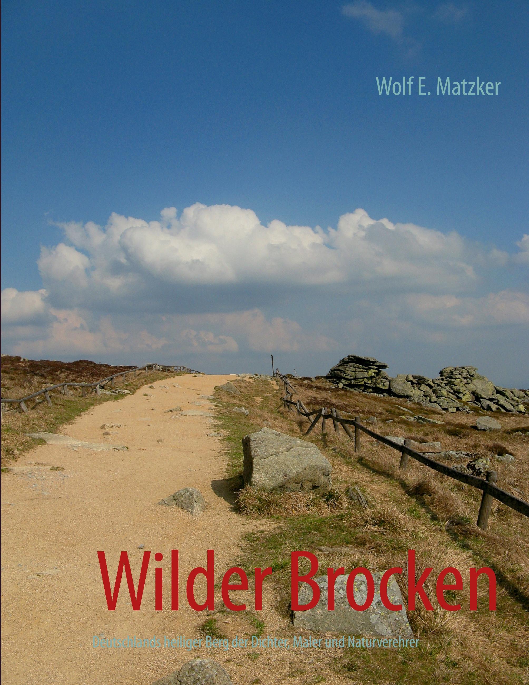 Wilder Brocken