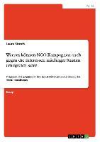 Warum können NGO-Kampagnen auch gegen die Interessen mächtiger Staaten erfolgreich sein?