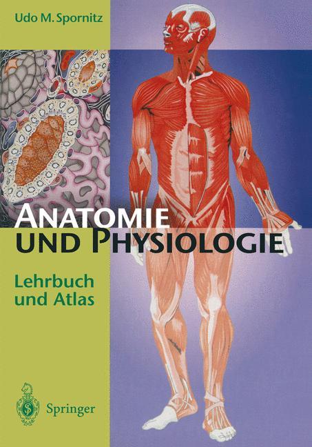 Anatomie und Physiologie