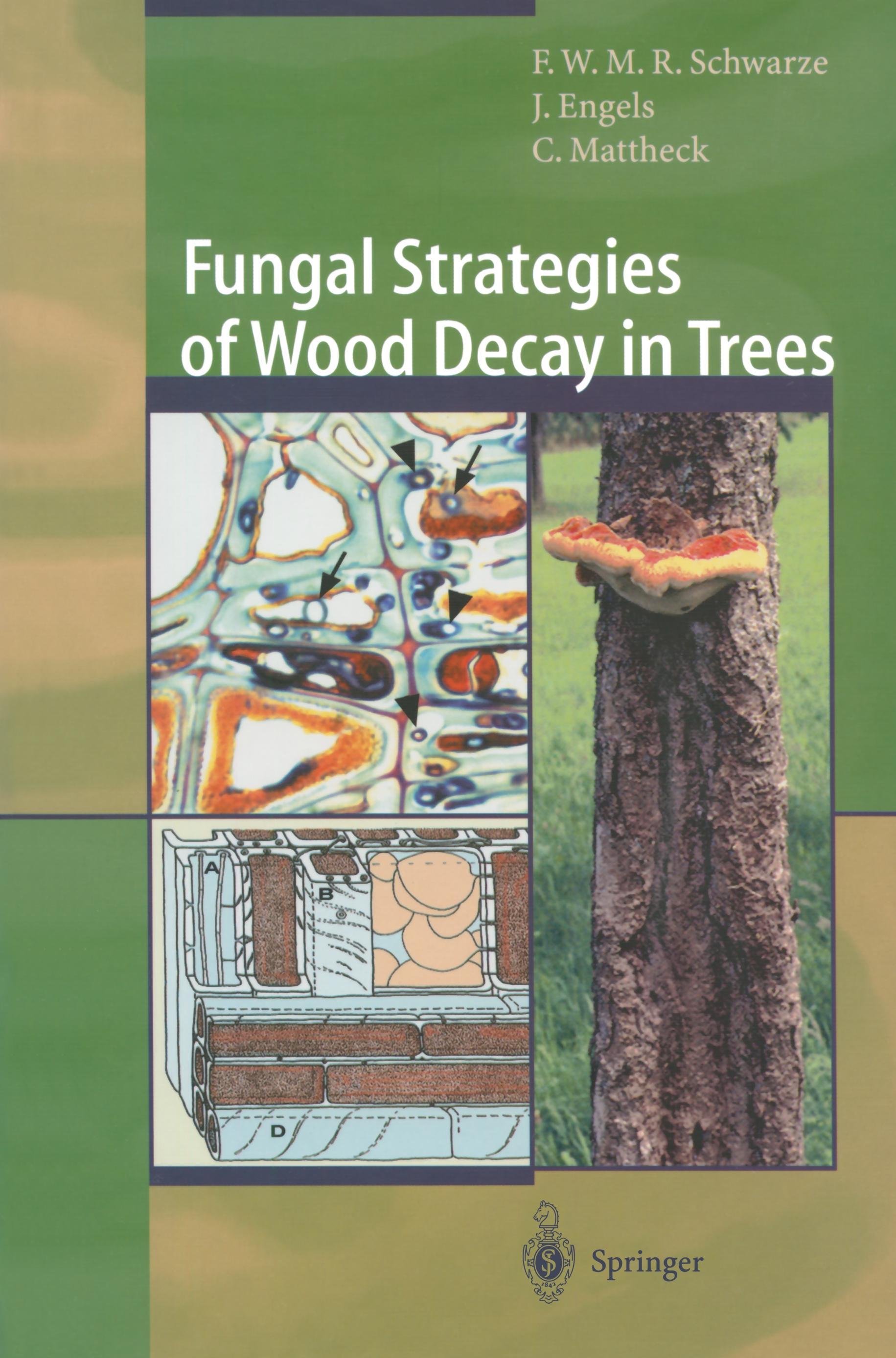 Fungal Strategies of Wood Decay in Trees