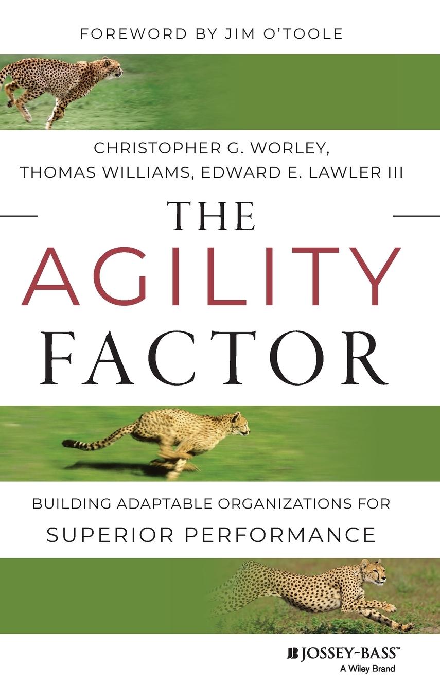 The Agility Factor