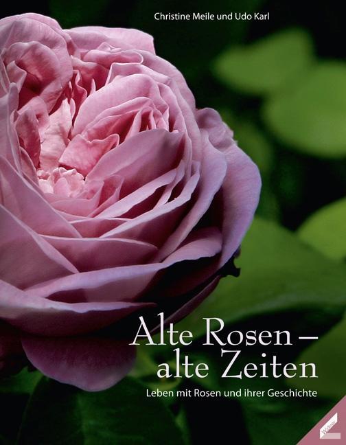 Alte Rosen - alte Zeiten