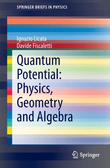 Quantum Potential: Physics, Geometry and Algebra