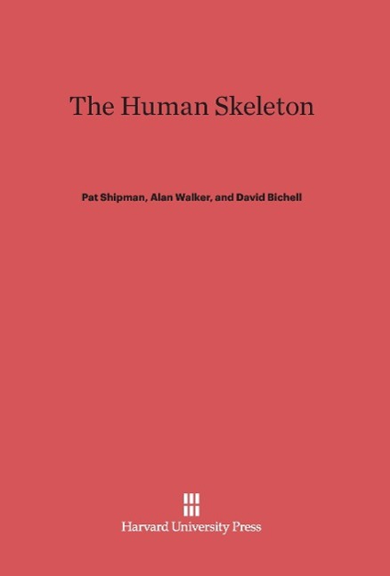 The Human Skeleton