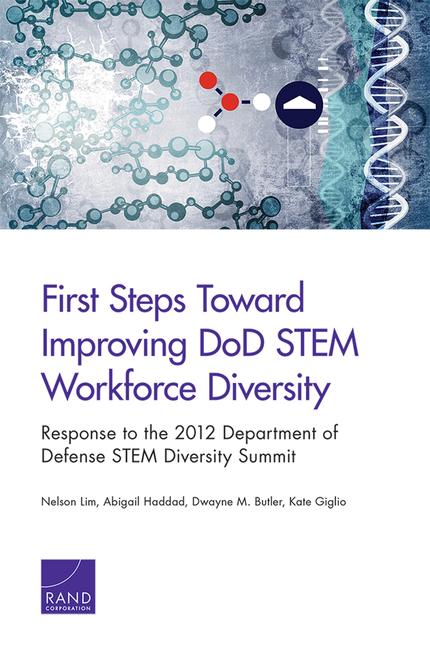 First Steps Toward Improving DoD STEM Workforce Diversity