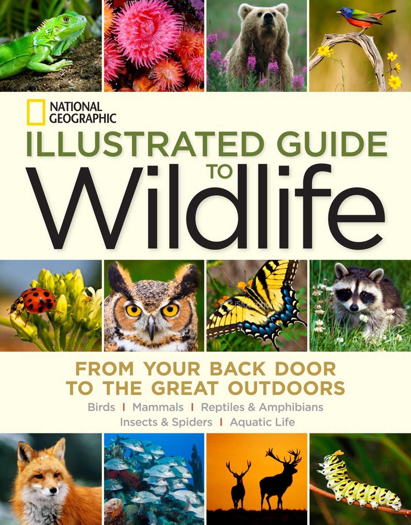 National Geographic Illustrated Guide to Wildlife: From Your Back Door to the Great Outdoors