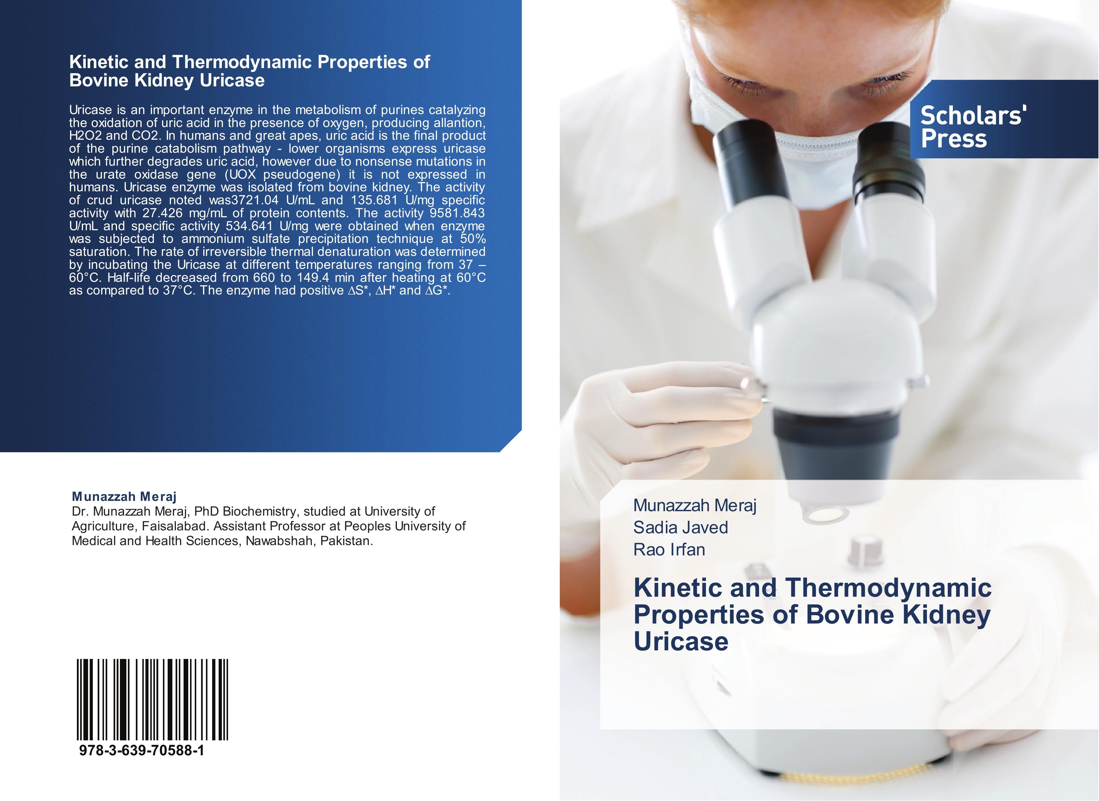 Kinetic and Thermodynamic Properties of Bovine Kidney Uricase