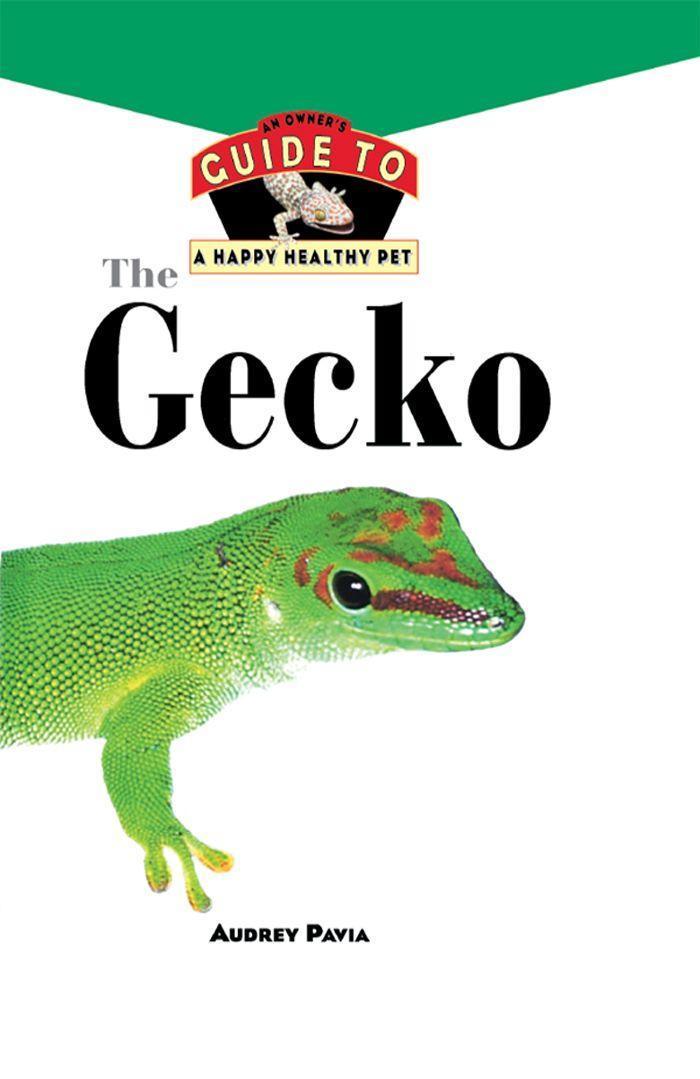 The Gecko