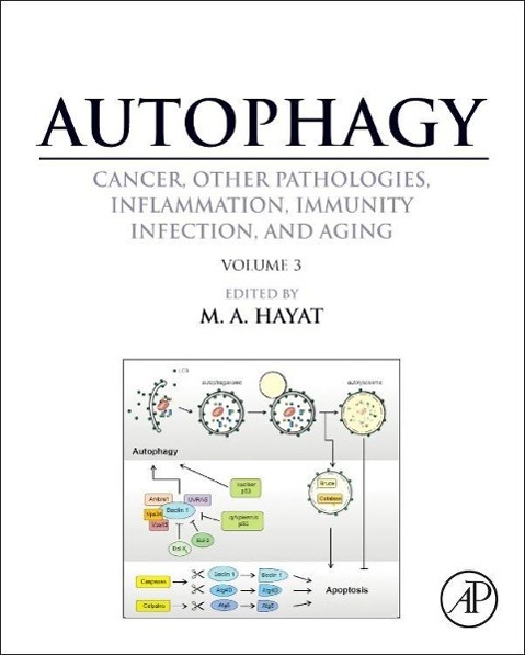 Autophagy: Cancer, Other Pathologies, Inflammation, Immunity, Infection, and Aging