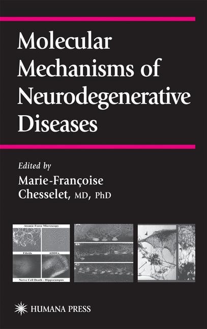 Molecular Mechanisms of Neurodegenerative Diseases