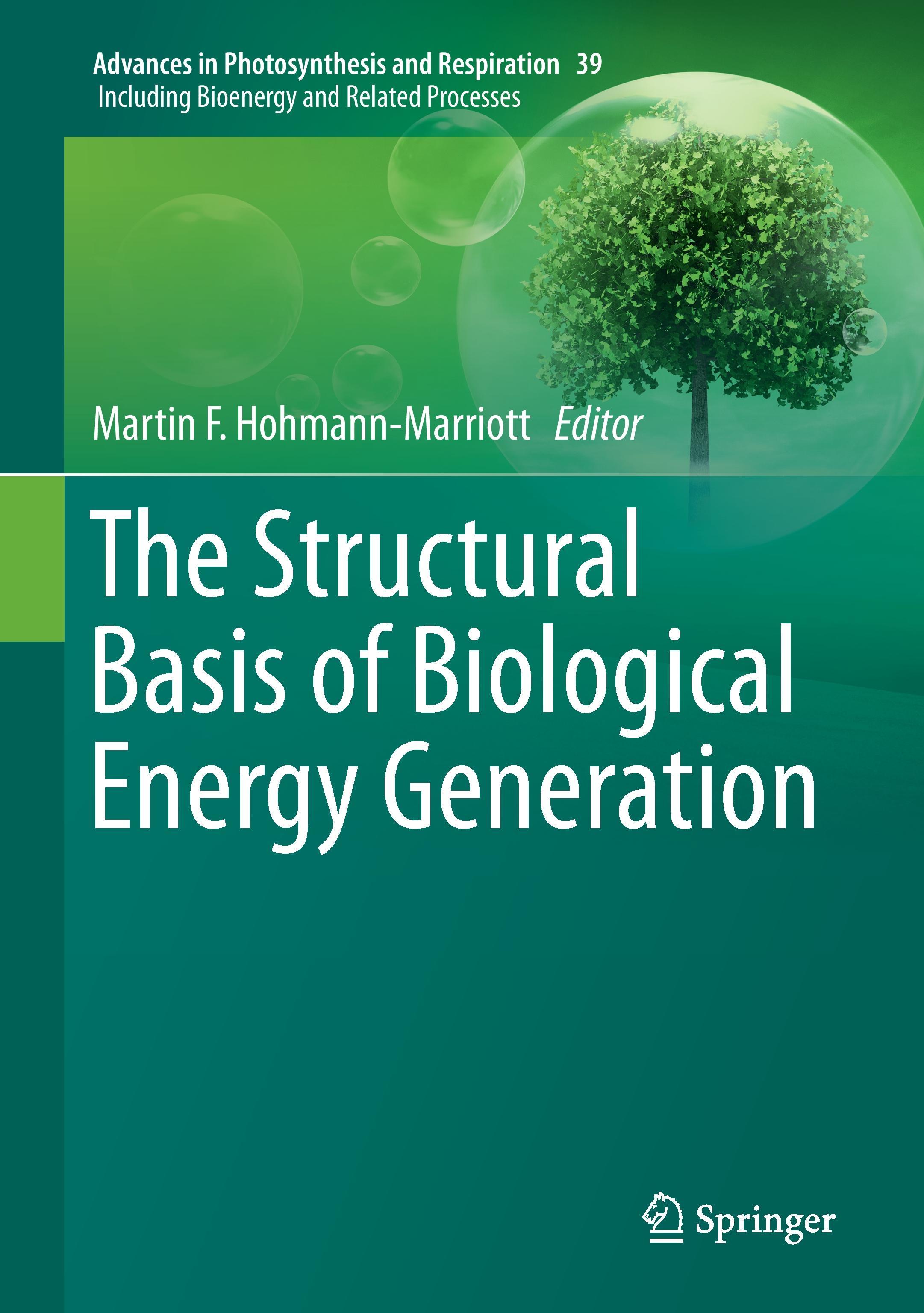 The Structural Basis of Biological Energy Generation