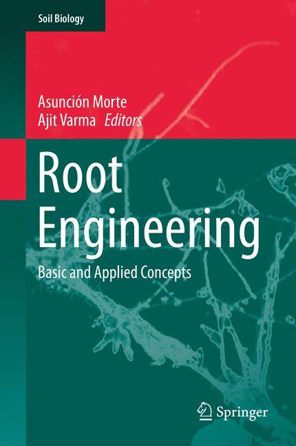 Root Engineering