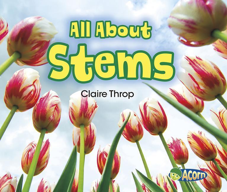 All about Stems