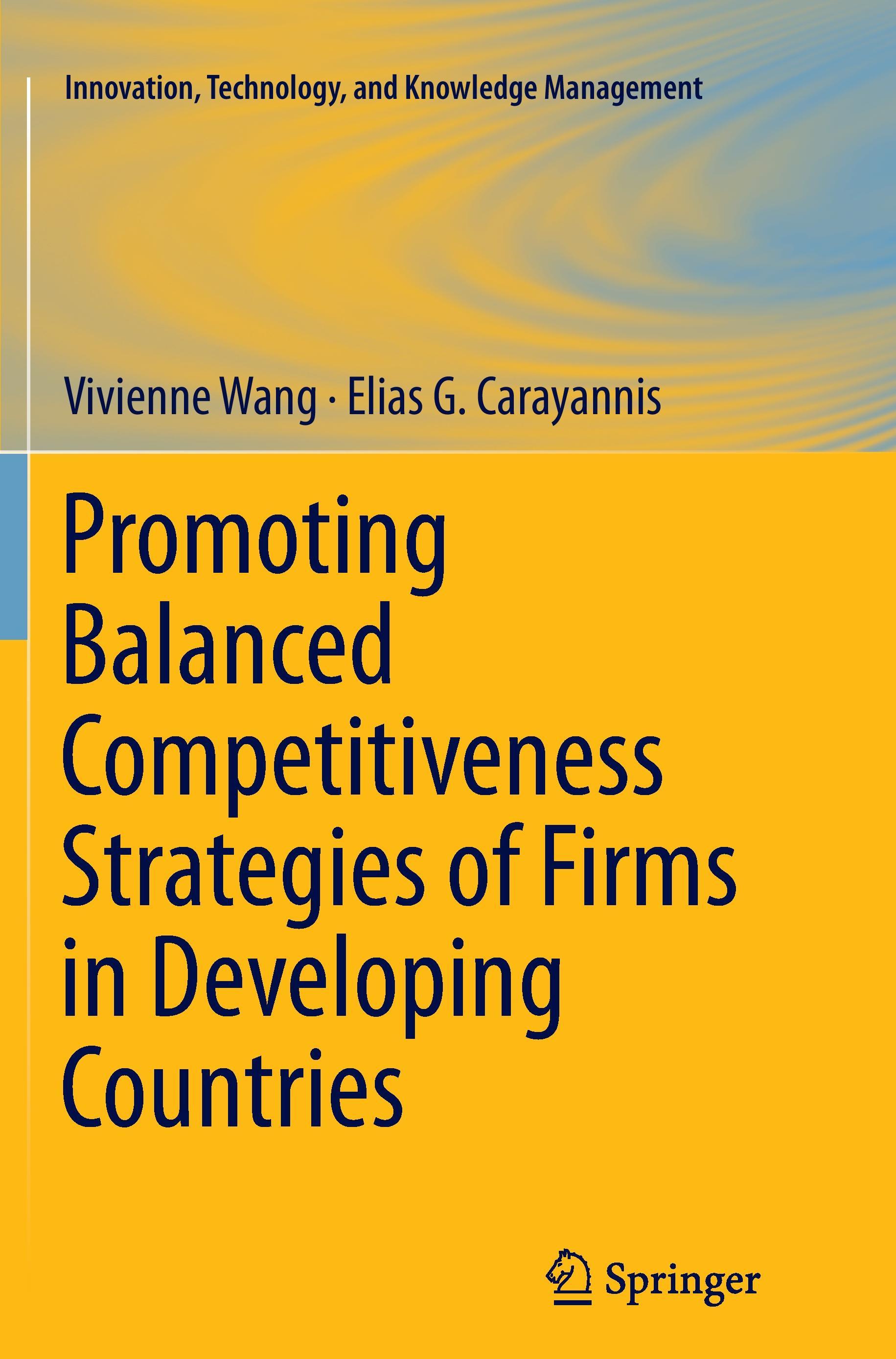 Promoting Balanced Competitiveness Strategies of Firms in Developing Countries