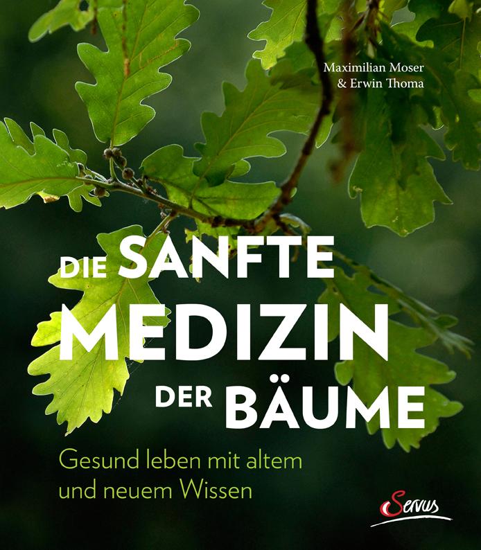 Die sanfte Medizin der Bäume