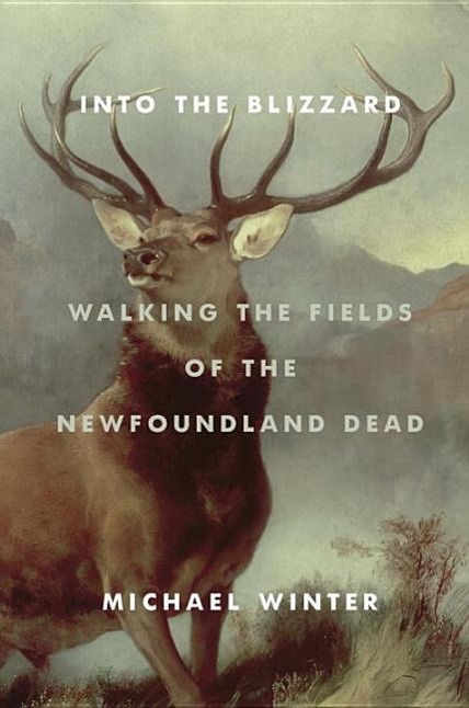 Into the Blizzard: Walking the Fields of the Newfoundland Dead