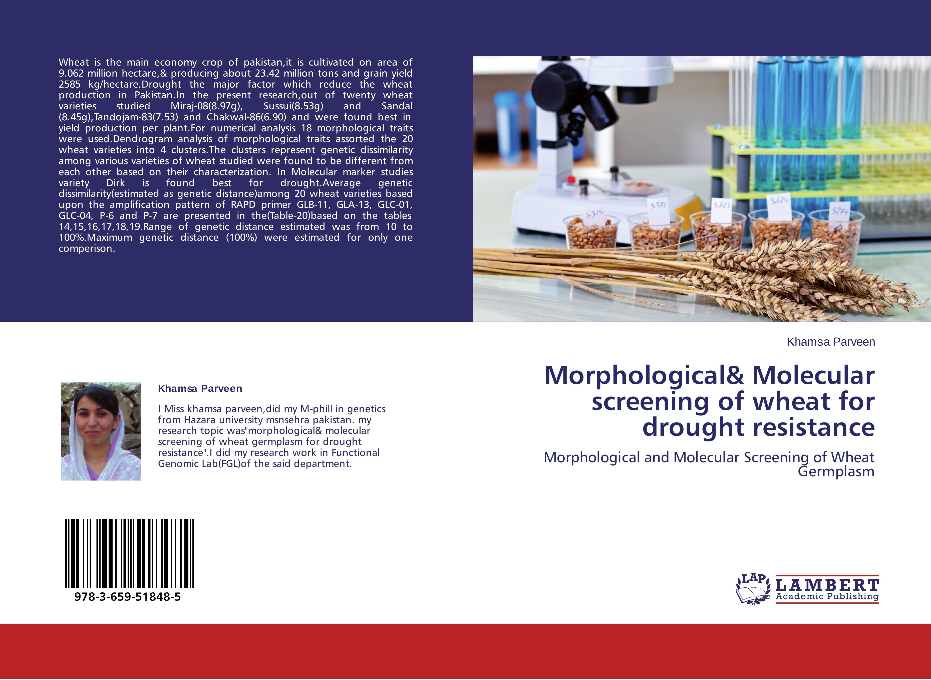 Morphological& Molecular screening of wheat for drought resistance