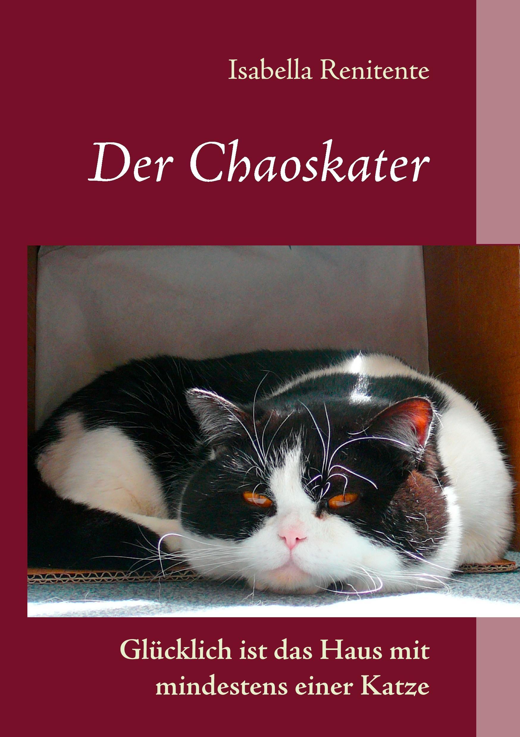 Der Chaoskater - Glücklich ist das Haus mit mindestens einer Katze