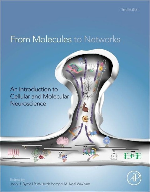 From Molecules to Networks