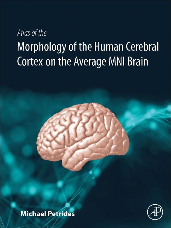 Atlas of the Morphology of the Human Cerebral Cortex on the Average Mni Brain