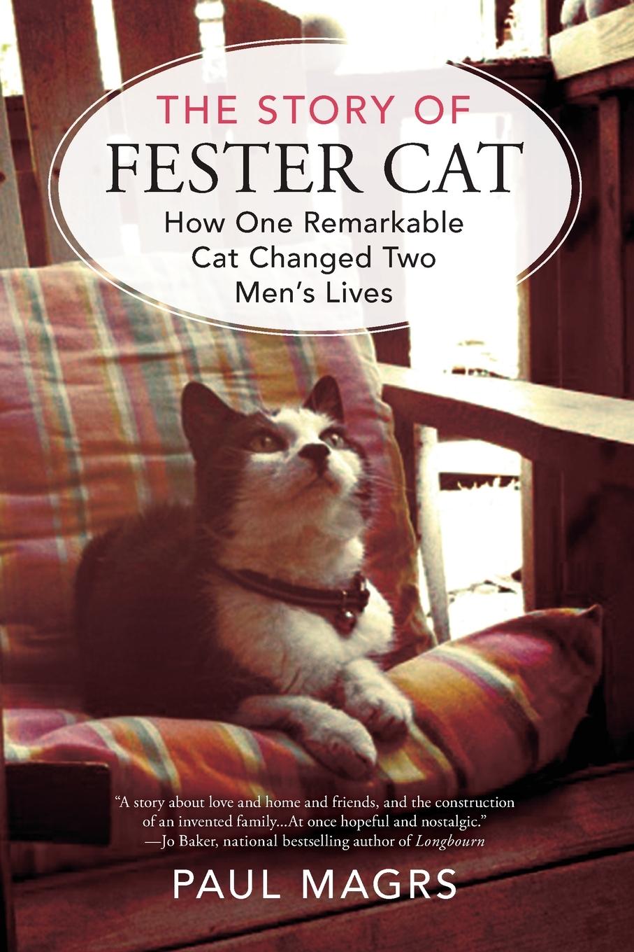 The Story of Fester Cat