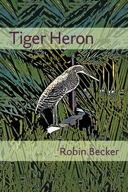 Tiger Heron