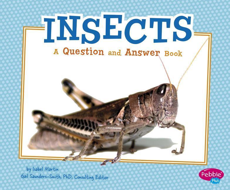 Insects