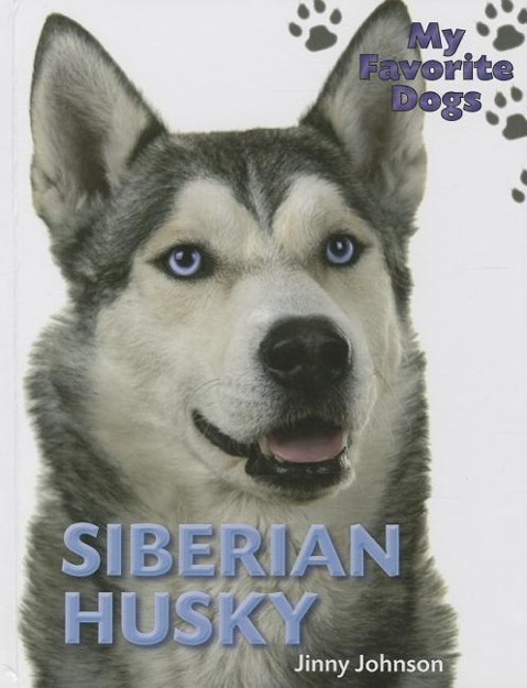 Siberian Husky