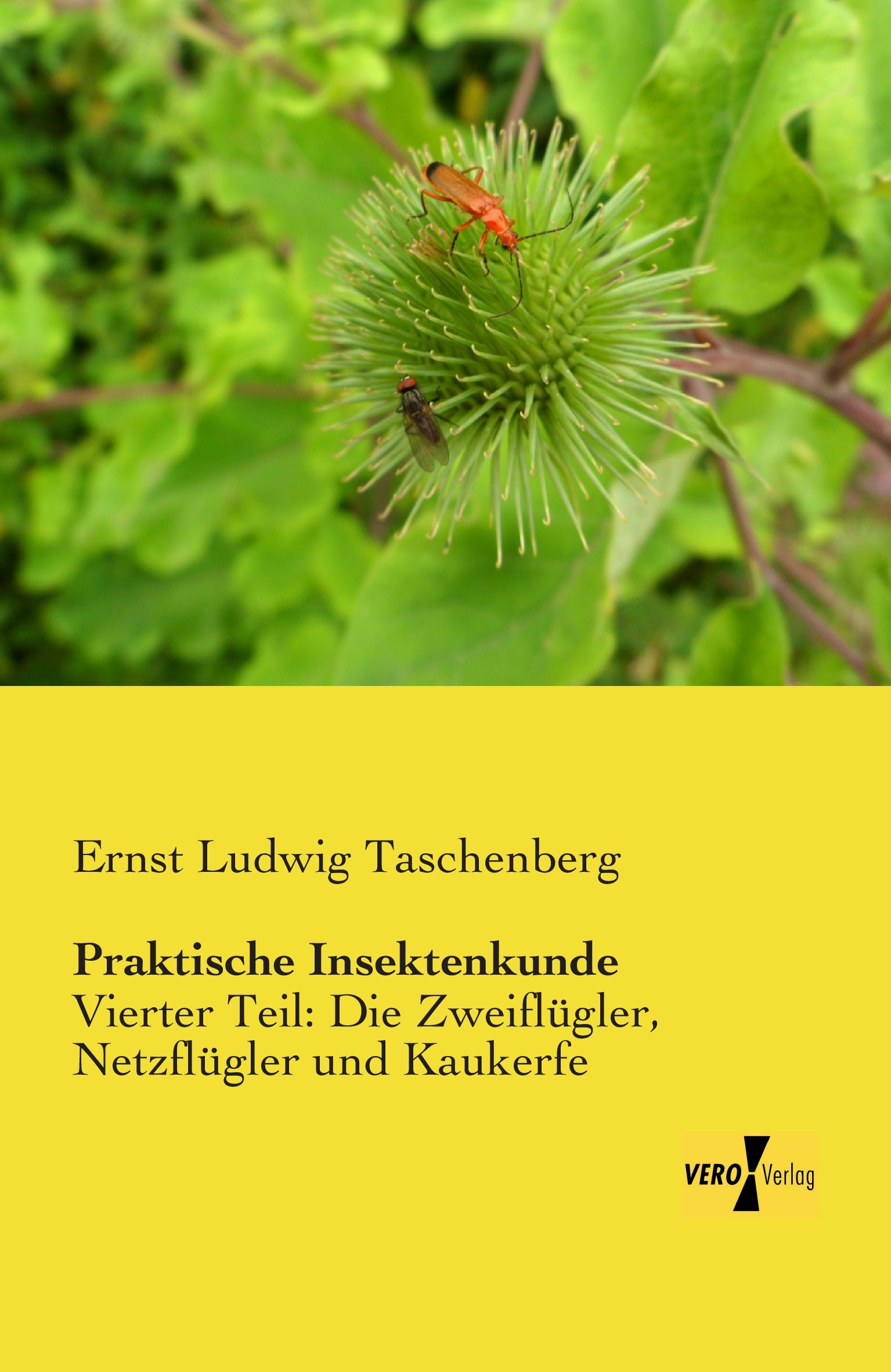 Praktische Insektenkunde