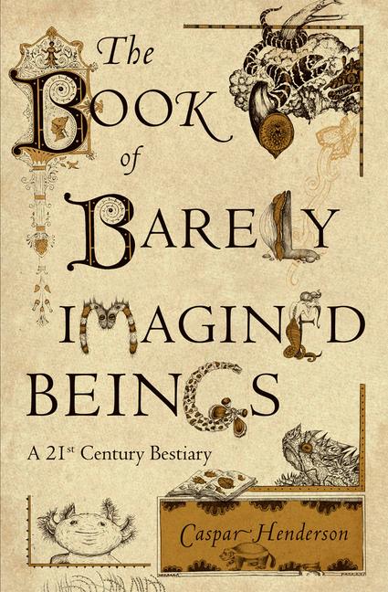 The Book of Barely Imagined Beings