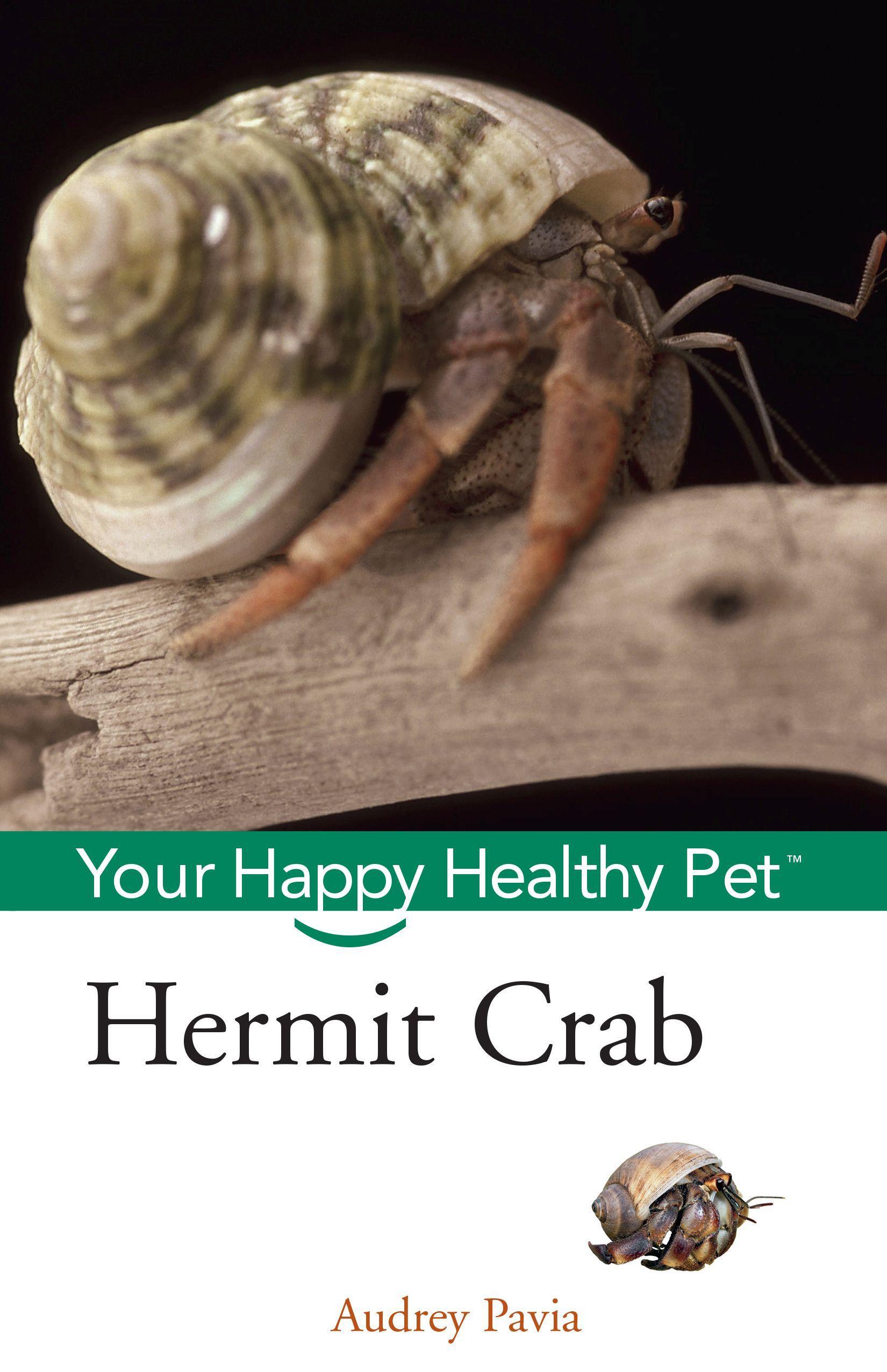 Hermit Crab