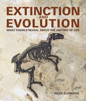 Extinction and Evolution