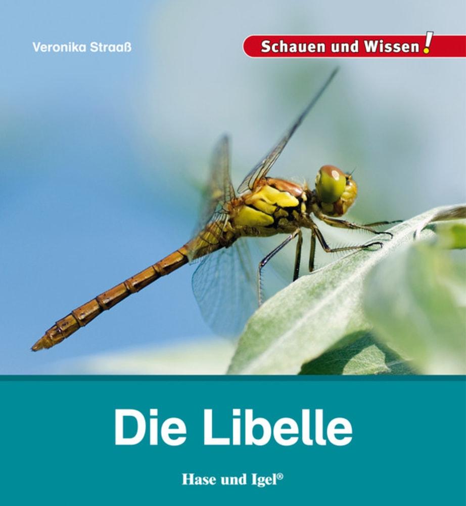 Die Libelle