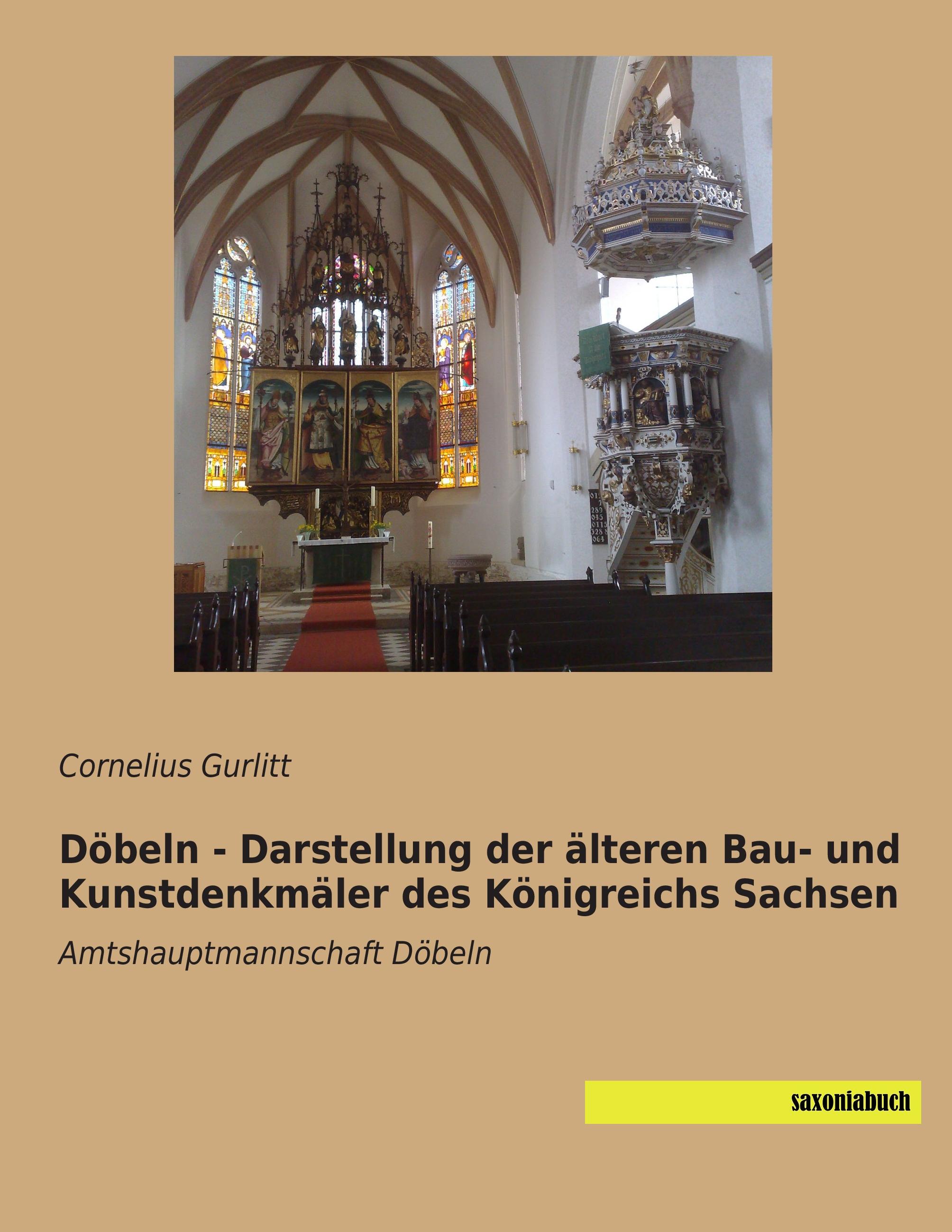 Döbeln - Darstellung der älteren Bau- und Kunstdenkmäler des Königreichs Sachsen