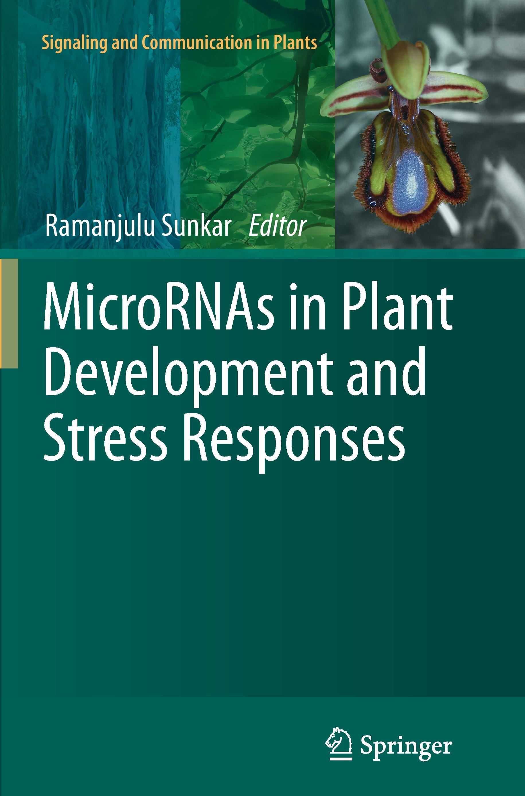 MicroRNAs in Plant Development and Stress Responses