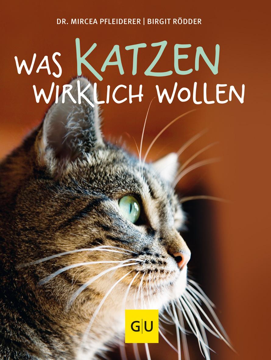 Was Katzen wirklich wollen