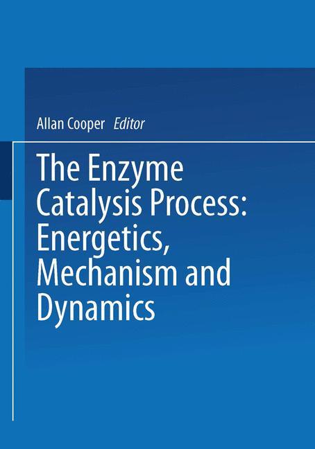 The Enzyme Catalysis Process