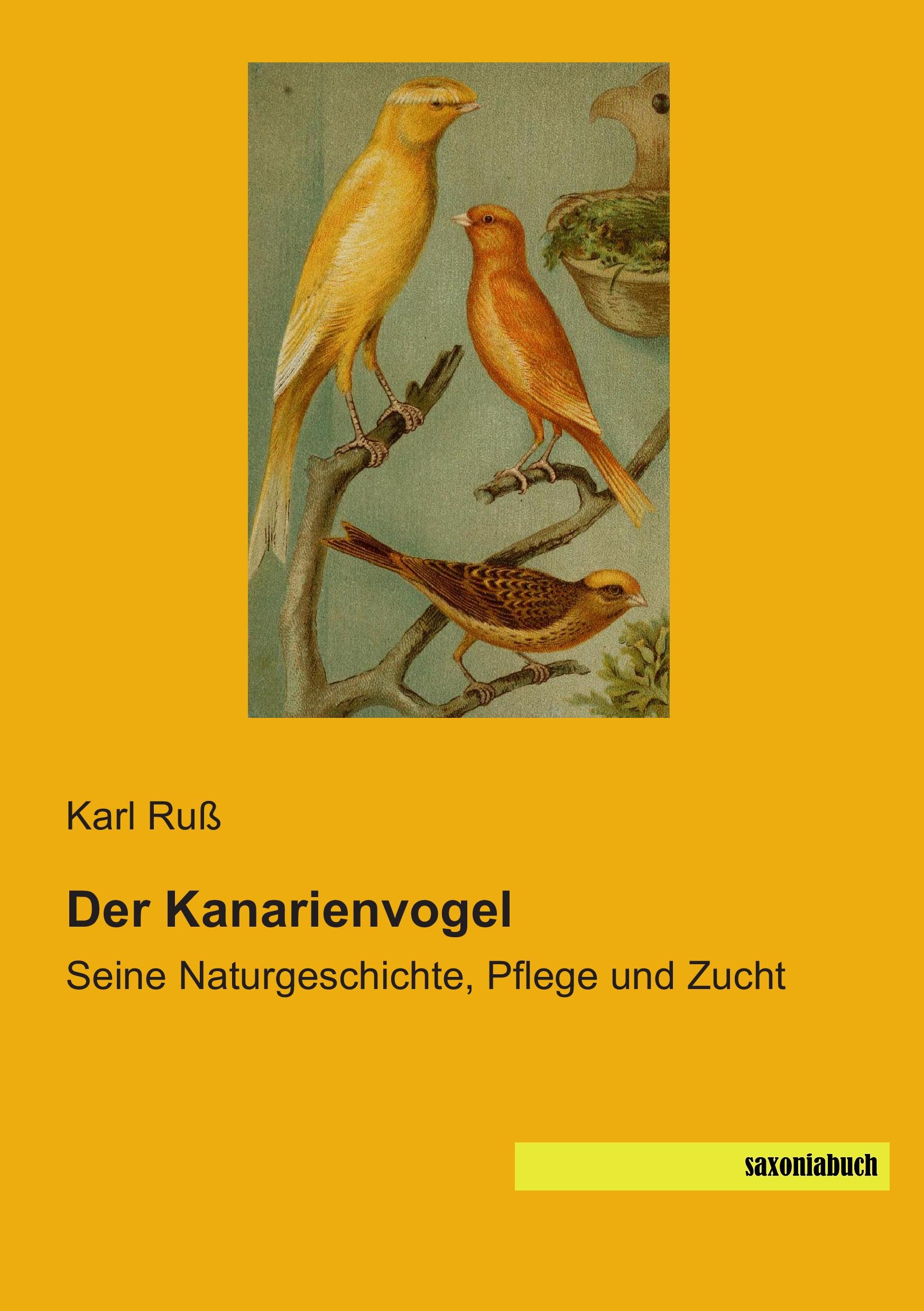 Der Kanarienvogel