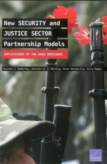 New Security and Justice Sector Partnership Models