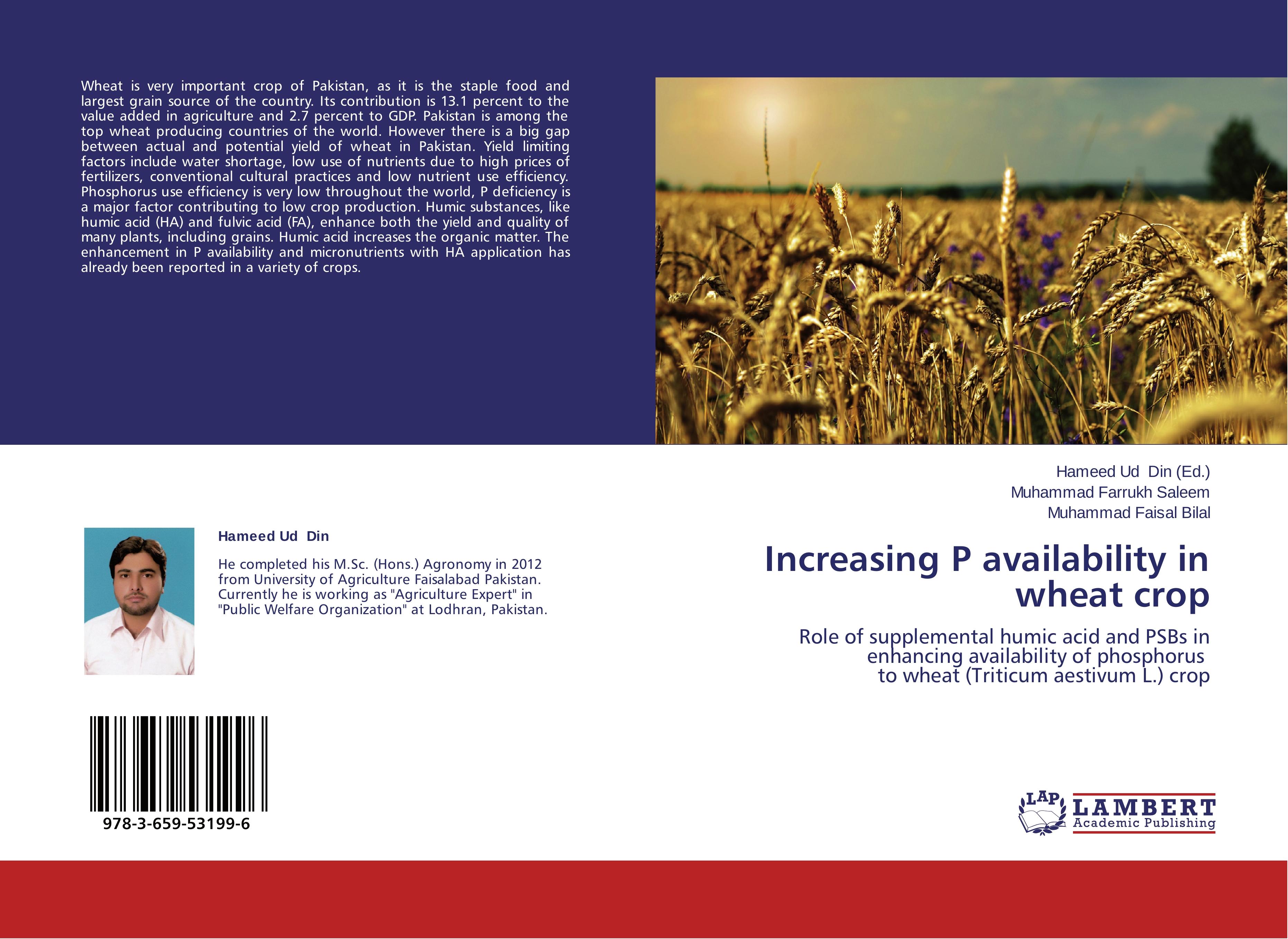 Increasing P availability in wheat crop