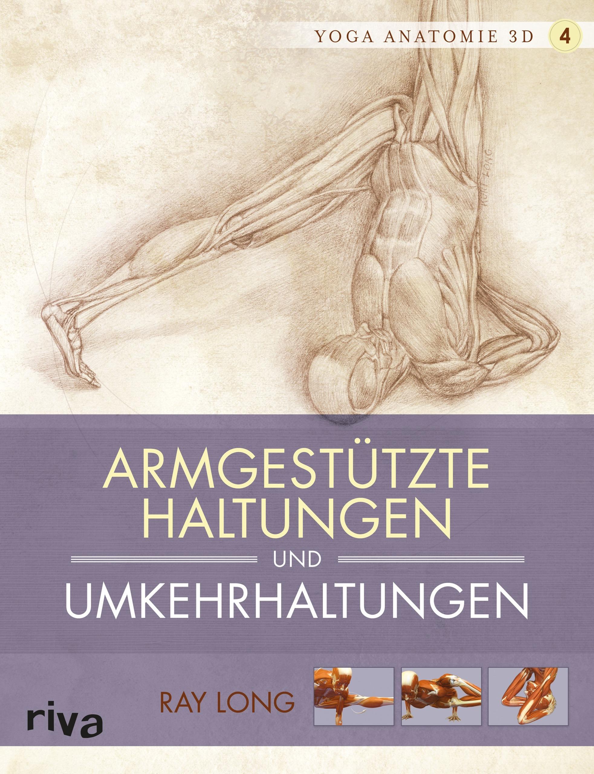 Yoga-Anatomie 3D. Armgestützte Haltungen und Umkehrhaltungen