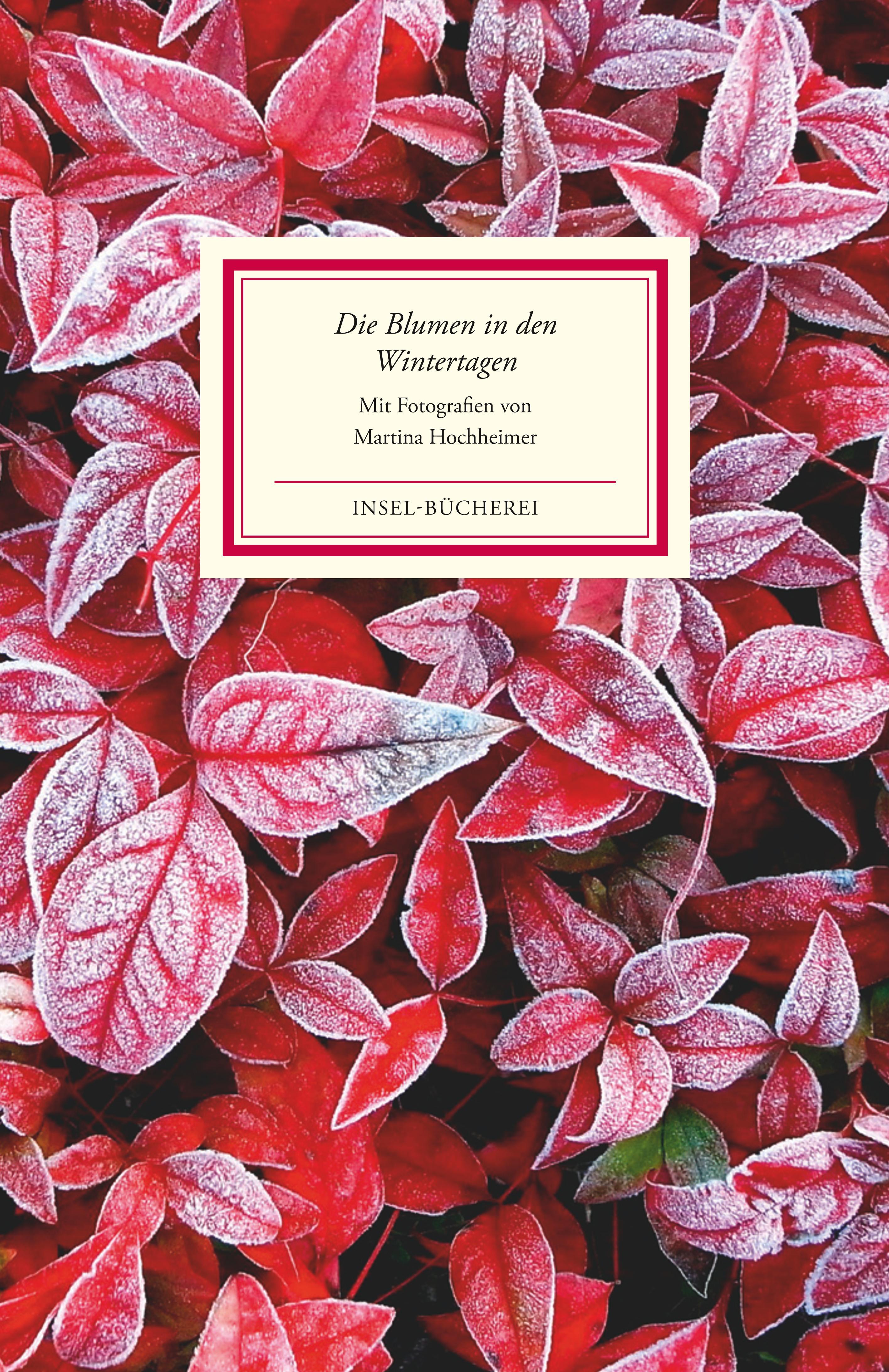 Die Blumen in den Wintertagen