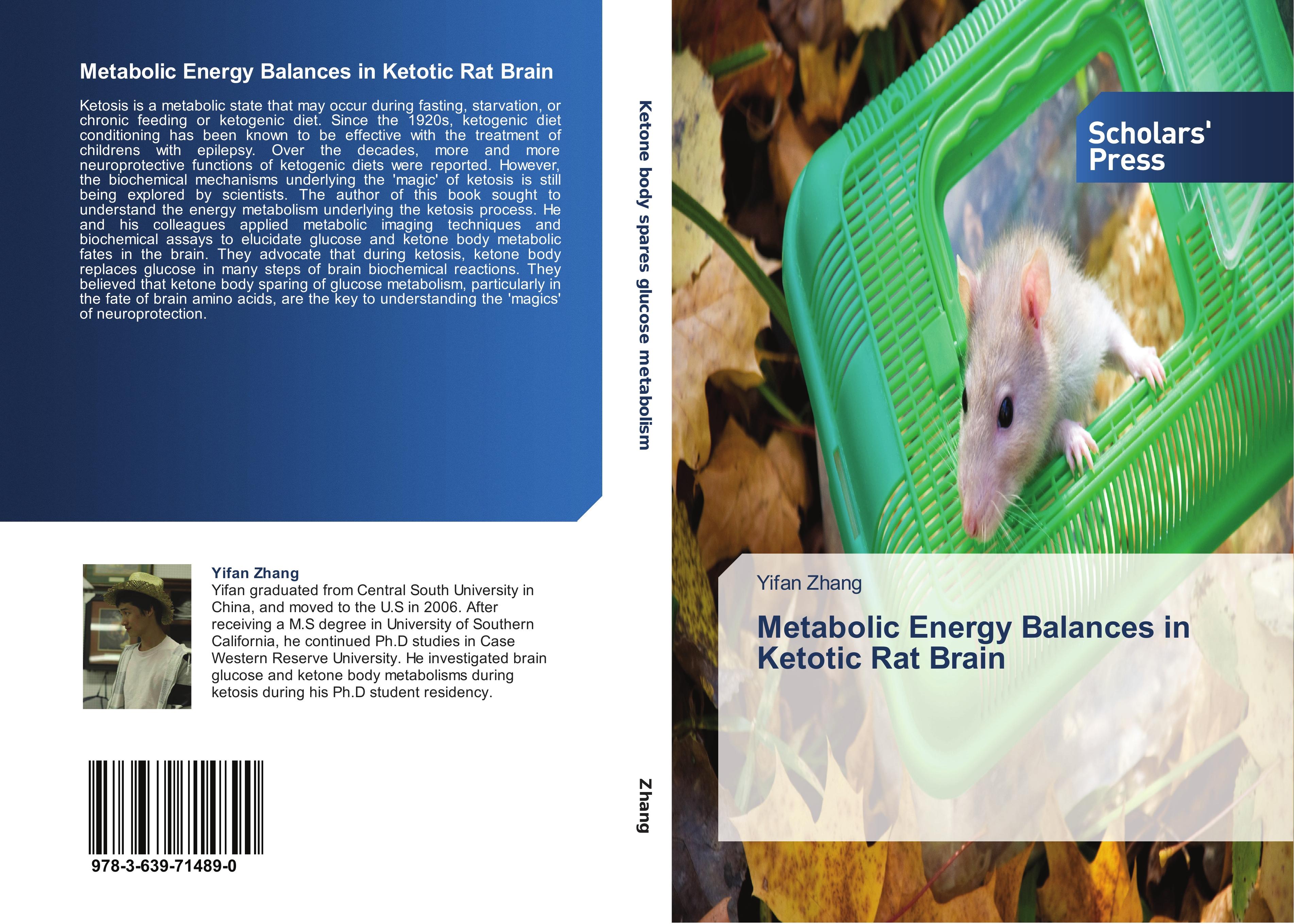 Metabolic Energy Balances in Ketotic Rat Brain