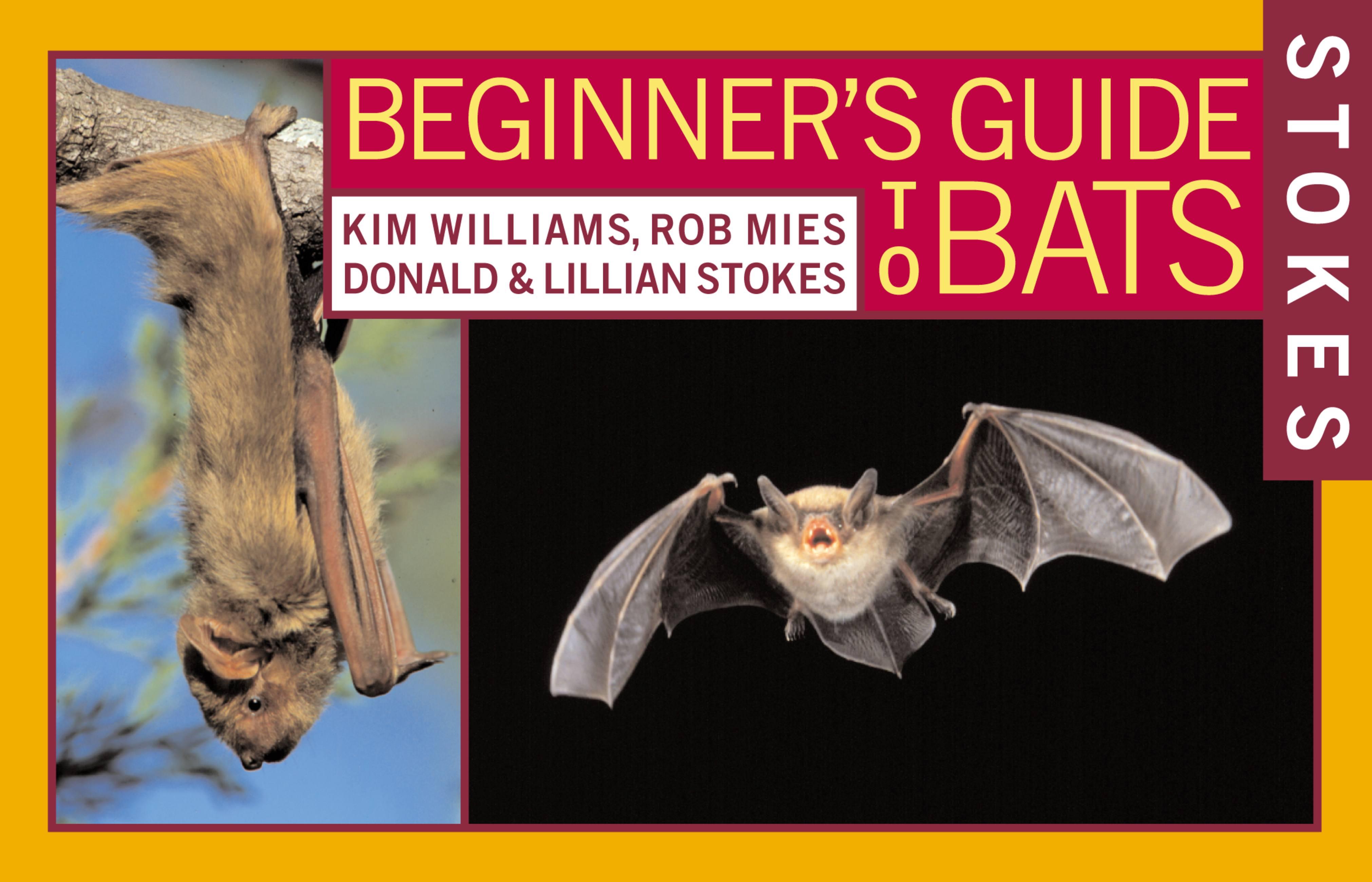 Stokes Beginner's Guide to Bats