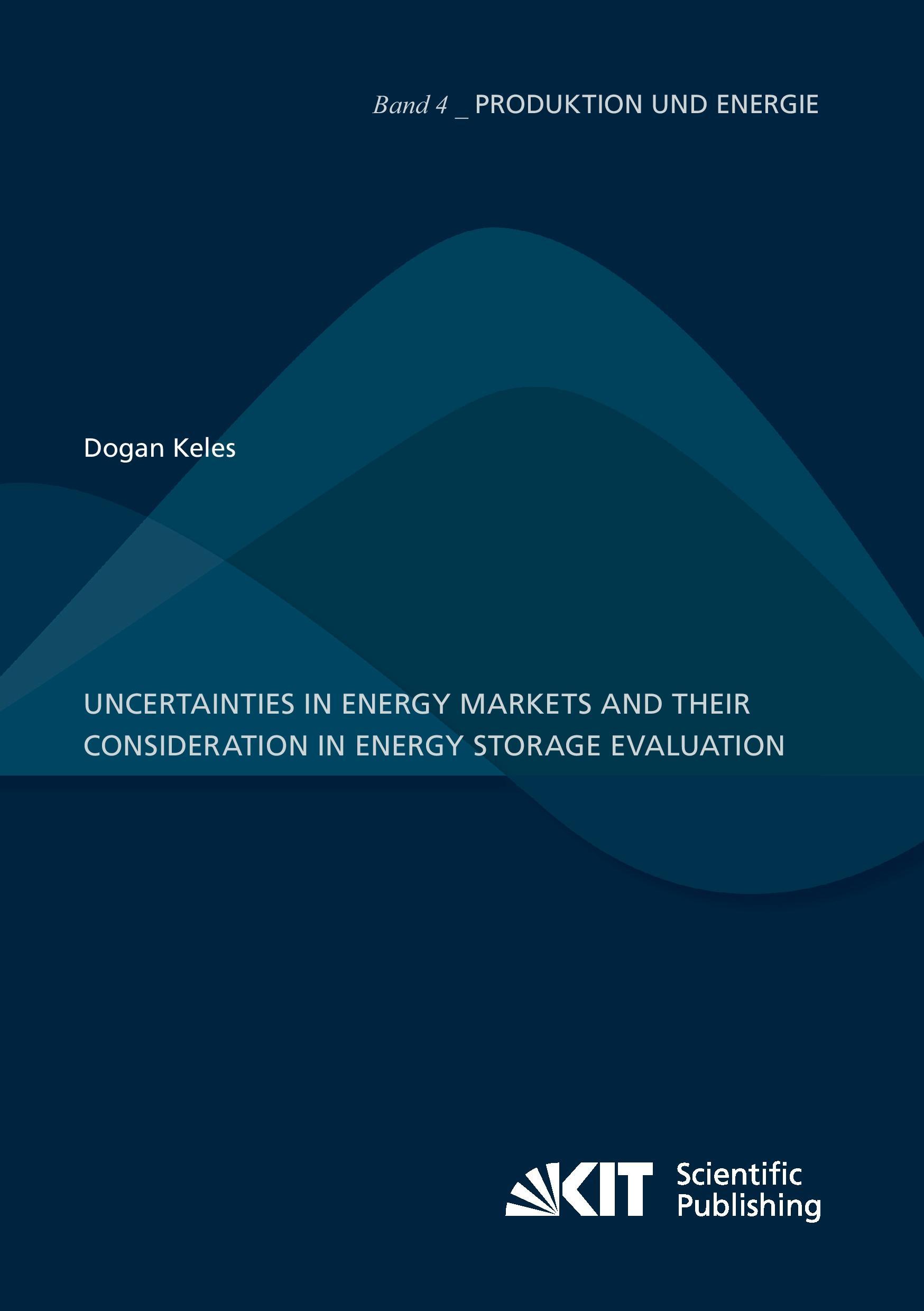 Uncertainties in energy markets and their consideration in energy storage evaluation