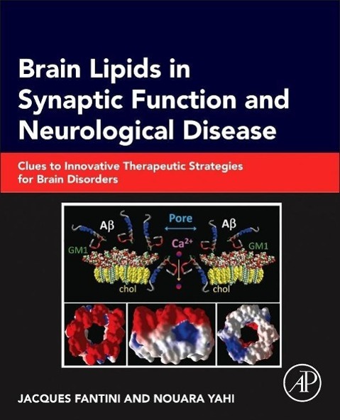 Brain Lipids in Synaptic Function and Neurological Disease