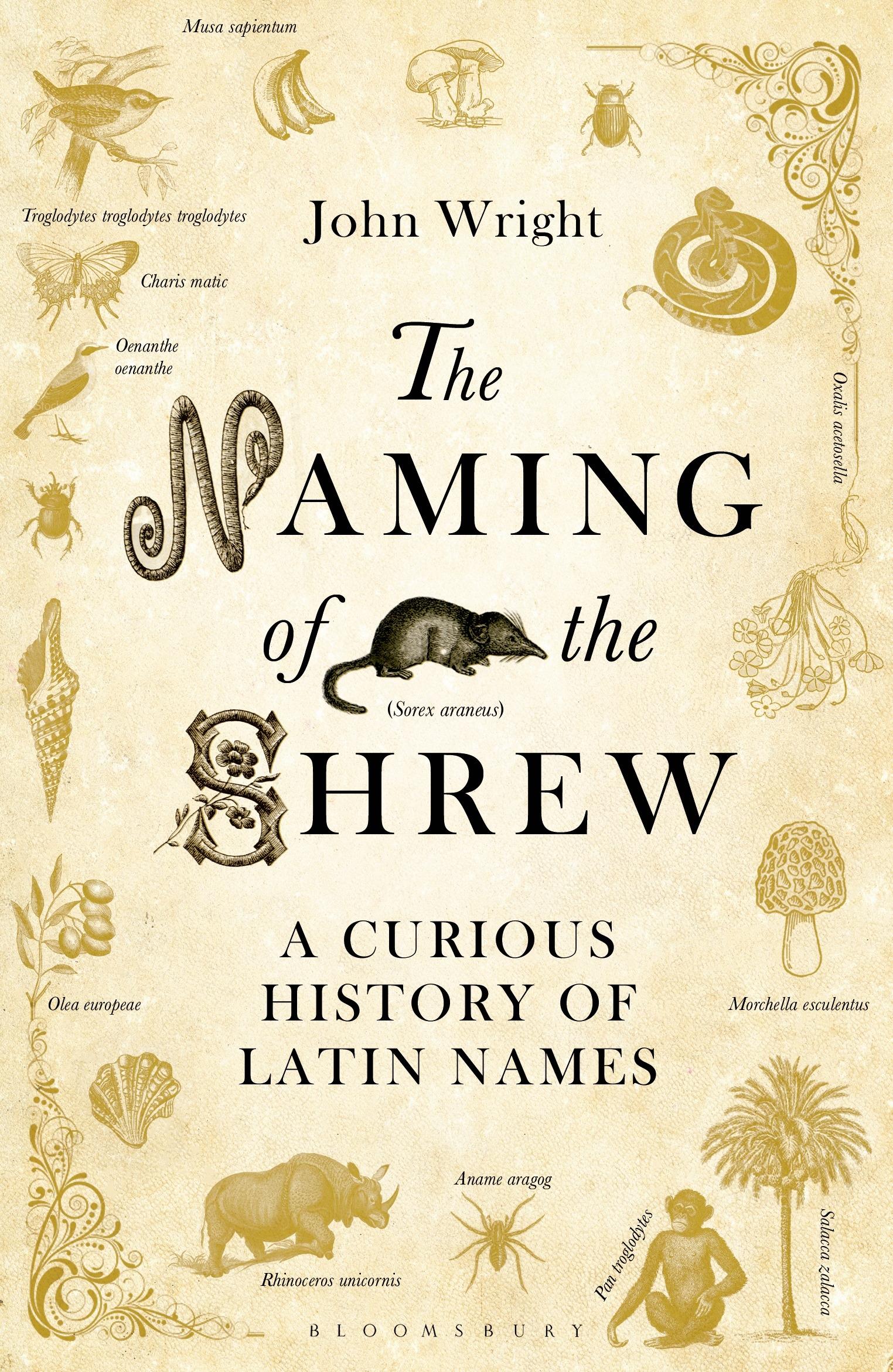 The Naming of the Shrew