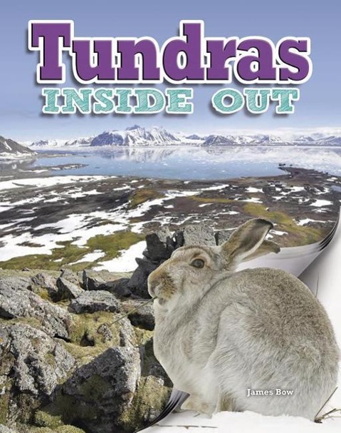 Tundras Inside Out